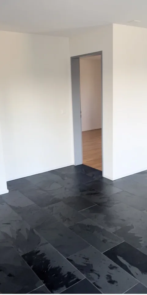 4.5 Zimmer Wohnung mit Blick auf den Säntis