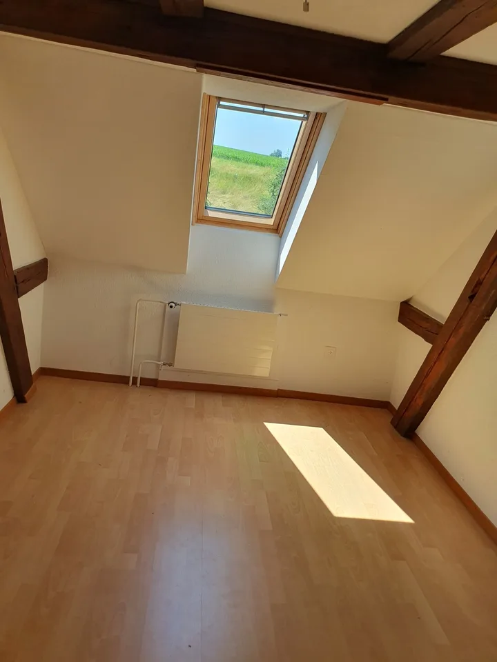 Charmante 4 Zimmer Wohnung im Grünen – mit eigenem Eingang