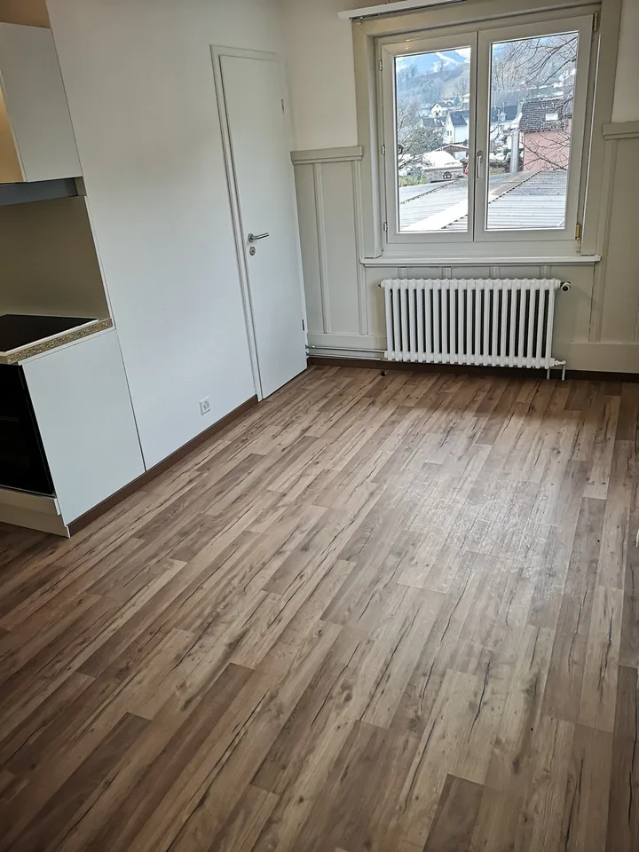 Studio Nr. 3 (24 m2) inkl. Nebenkosten und Parkplatz