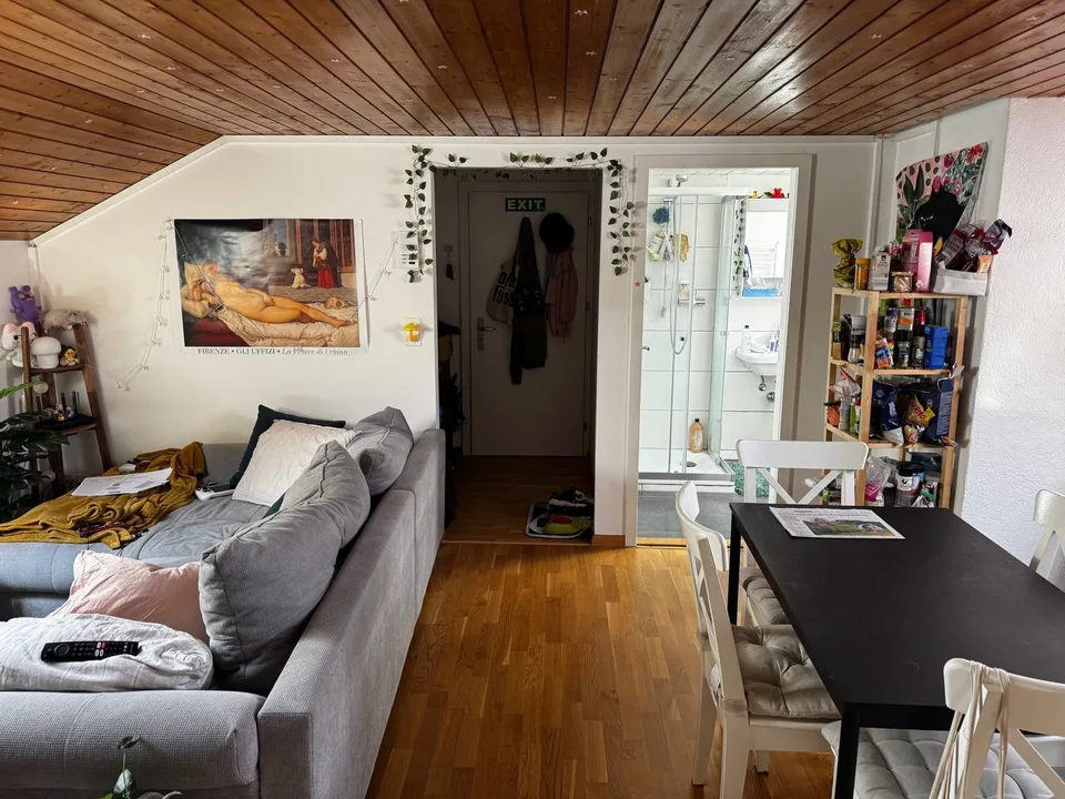 2 1/2 Dachwohnung in Lichtensteig