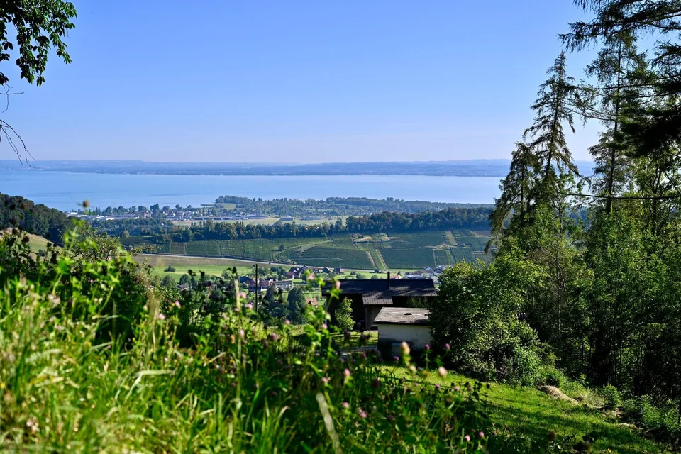 Weitblick und Landliebe: Bauernhaus zum Verwirklichen