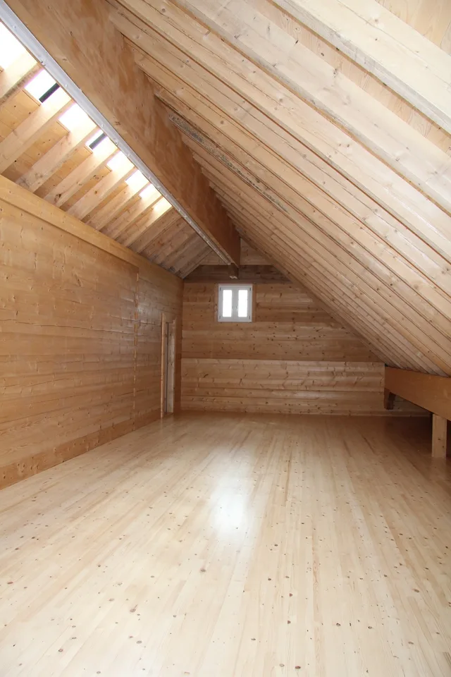 Grosszügige Bauernhaus-Wohnung mit tollem Ausblick