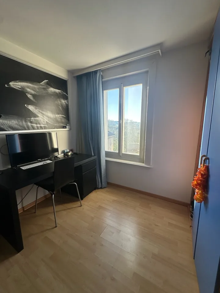 Fully Furnished 4.5-Room Apartment for Sublet in St. Gallen – Ideal for 2 Students