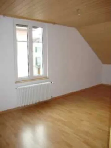 Grosszügige Dach-Wohnung sehr zentral