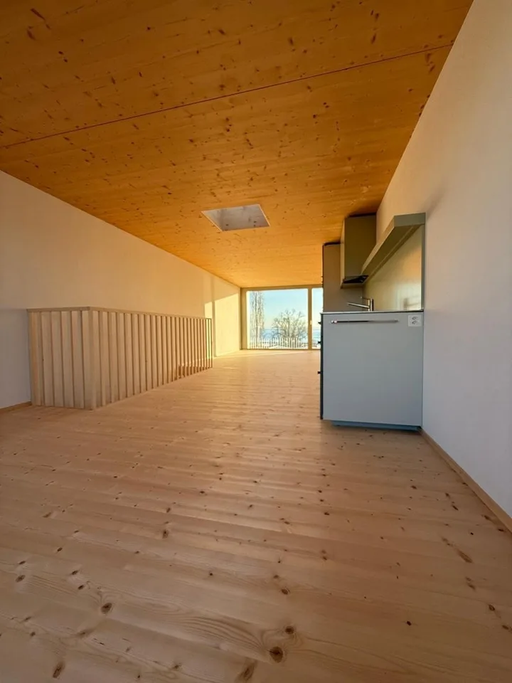 Ganz neue Wohnung mit See- und Bergblick direkt am Bodensee – inklusive Sauna zur Mitbenützung