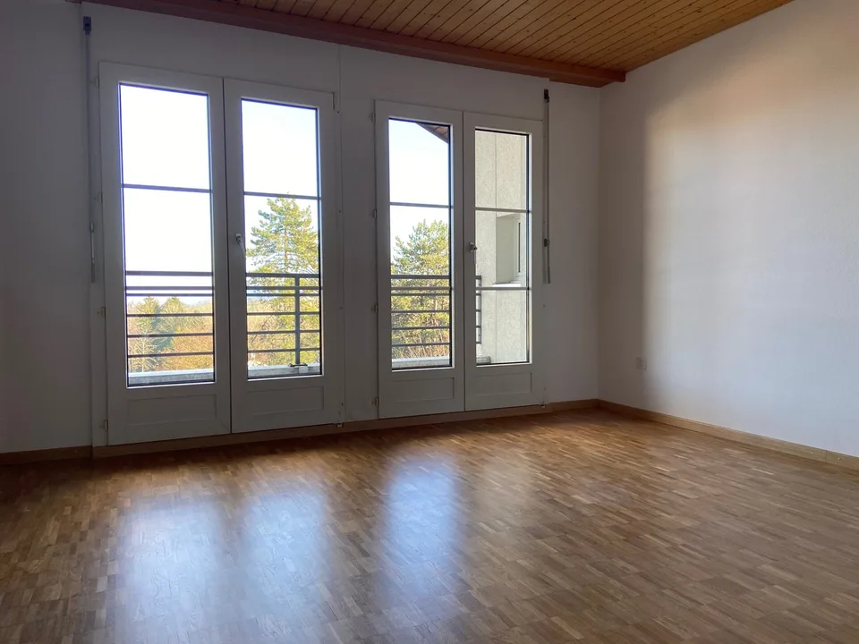 4.5 Zimmer- Attika Wohnung mit grosser Terrasse