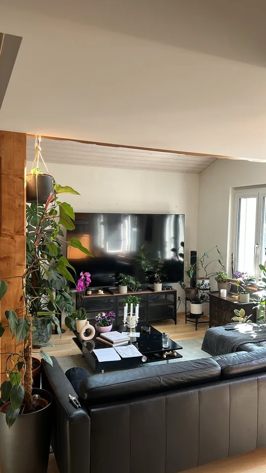 Wunderschöne Maisonette Wohnung im Linsebühlquartier