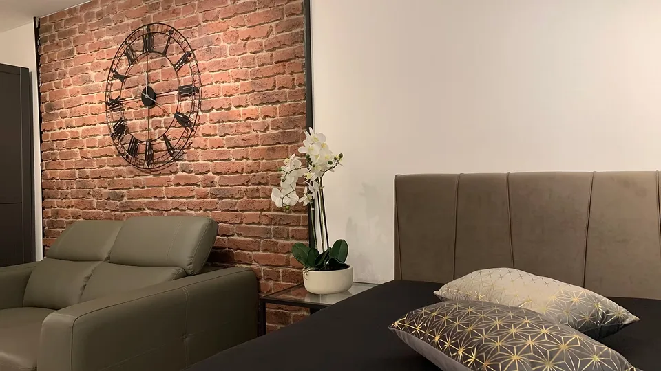 Modern Furnished 1.5-Room Apartment in St. Gallen City Centre