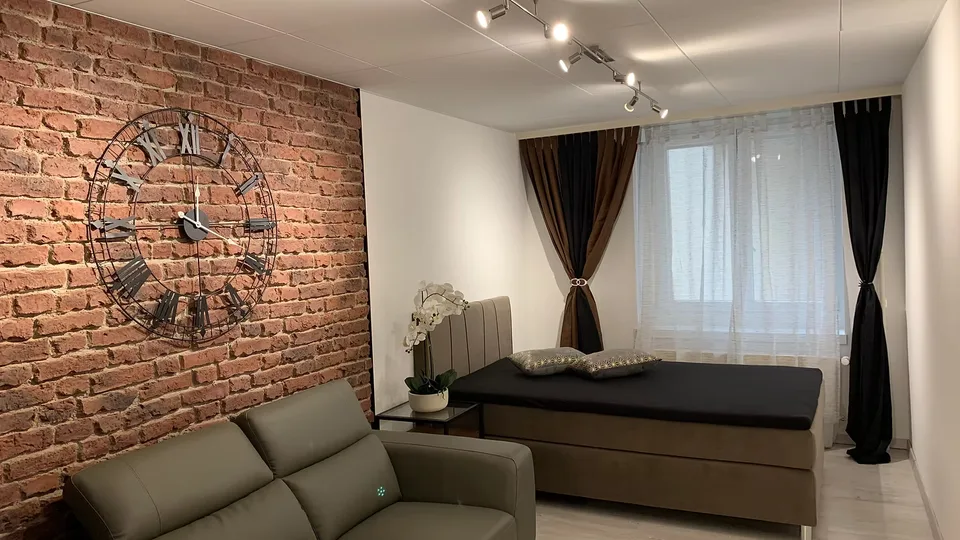 Modern Furnished 1.5-Room Apartment in St. Gallen City Centre