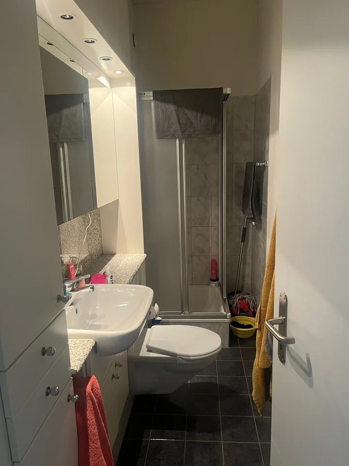 Bright & Quiet 2.5-Room Apartment on the 4th Floor – Rosenbergstrasse, St. Gallen