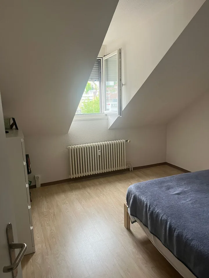 Bright & Quiet 2.5-Room Apartment on the 4th Floor – Rosenbergstrasse, St. Gallen
