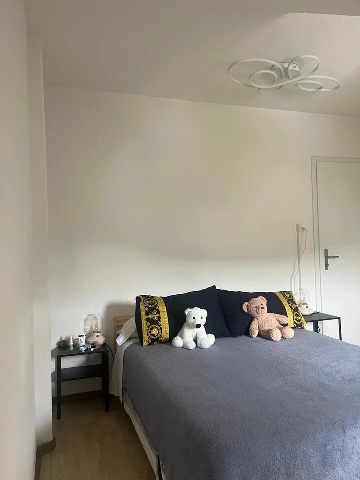 Bright & Quiet 2.5-Room Apartment on the 4th Floor – Rosenbergstrasse, St. Gallen