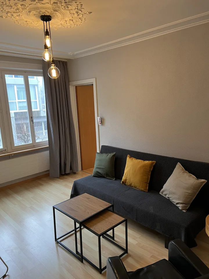 4.5 Zimmer Apartment möbliert für Projektmitarbeiter / Studenten