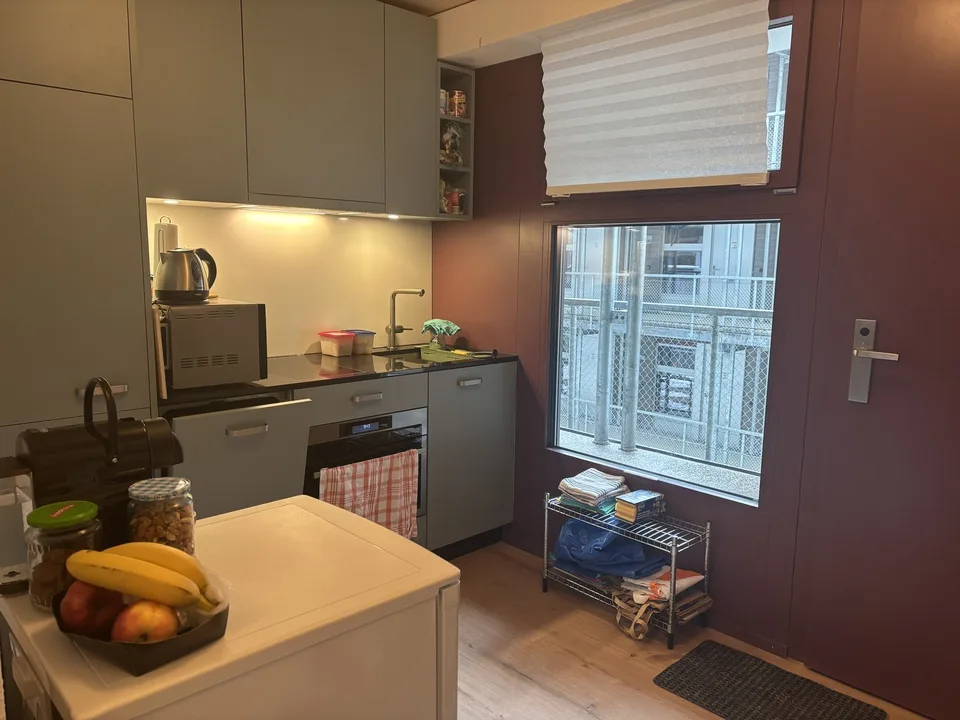 Moderne 1-Zimmer-Wohnung in St. Gallen - Neubau 2025