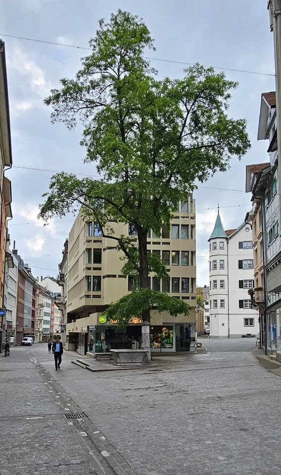 Büro- Schulungs- Praxisräumlichkeiten - Mitten im Zentrum