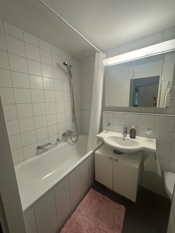 Möblierte 2-Zimmer-Wohnung für 2 Monate (August–September)