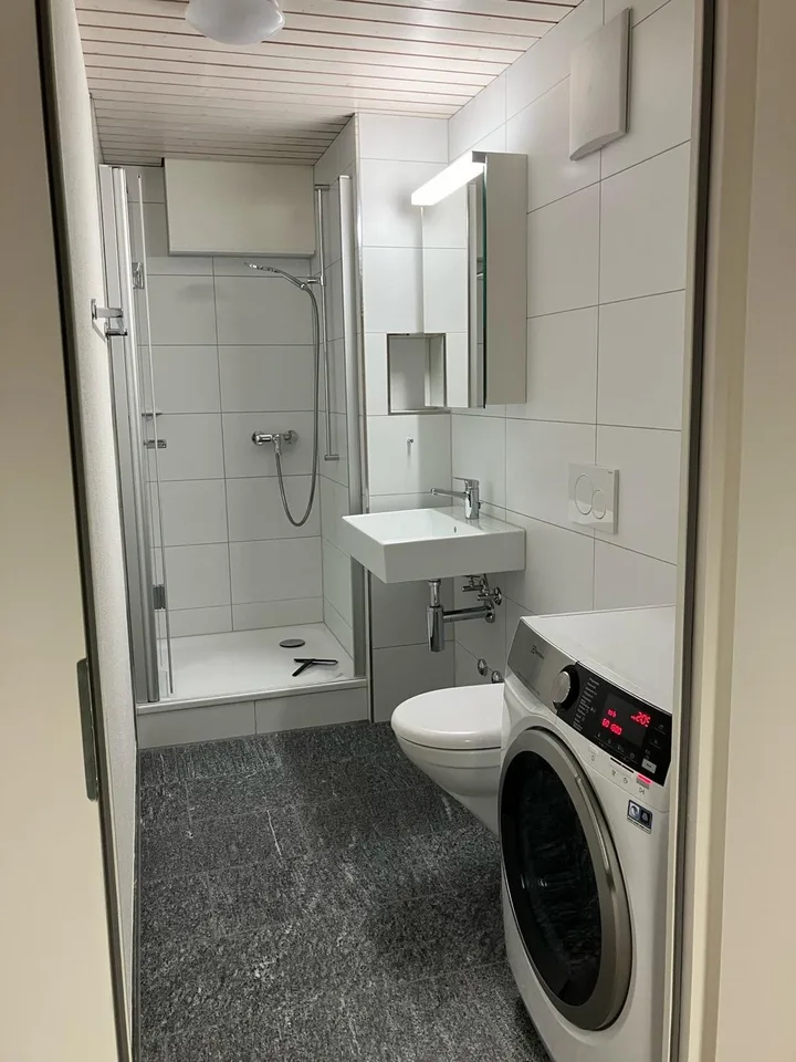 1.0 Zimmerwohnung in Zell ZH