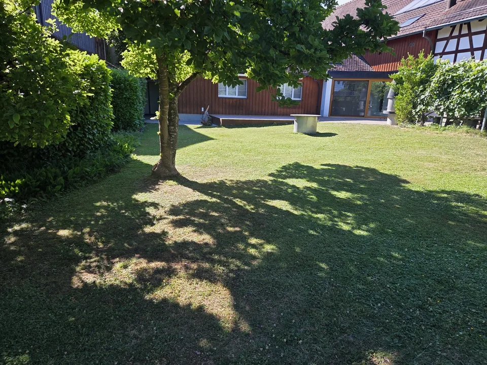 Einzigartige 3 Zimmer Loftwohnung mit Wintergarten & Garten