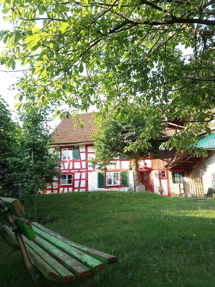 WG im Garten
