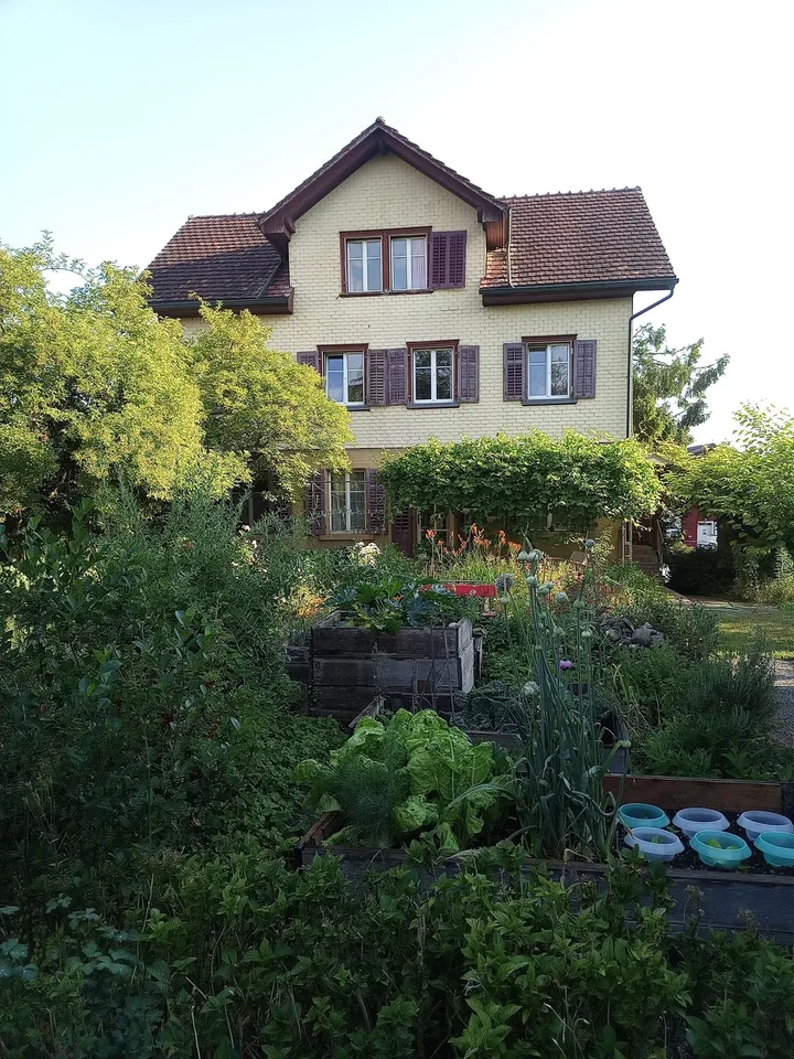 WG im Garten