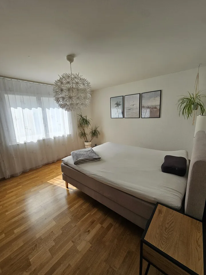 moderne möblierte 3.5-Zimmer-Wohnung inkl. Internet, Strom, Wasser | ab Dezember 2026 | mind. 6 Monate
