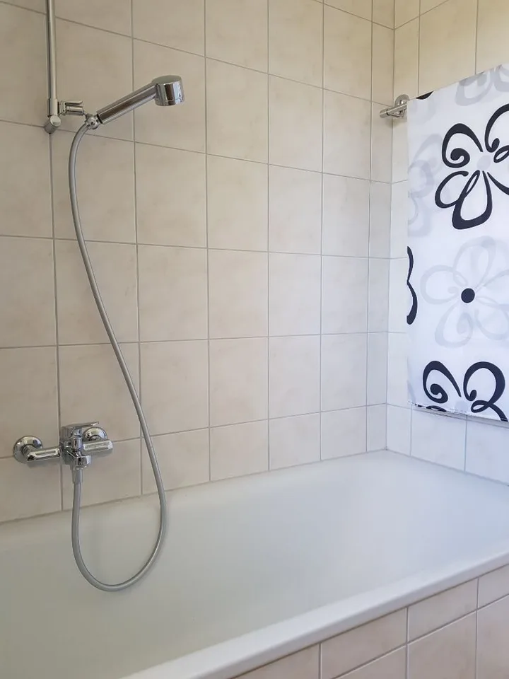 3.5 Zimmer Whg in Stein am Rhein