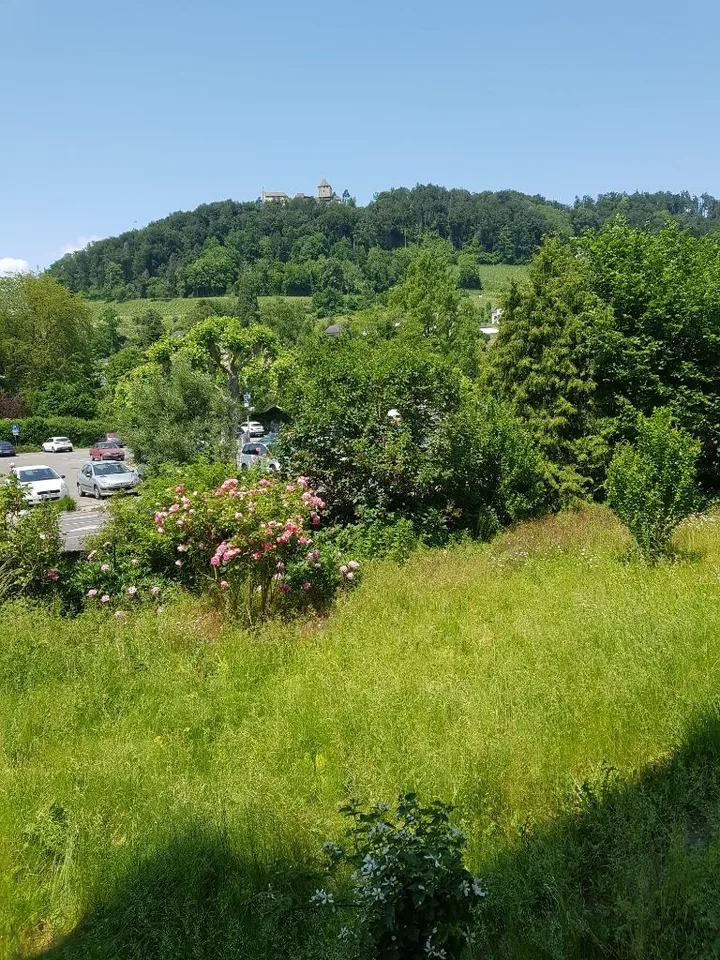 3 Zimmer Whg in Stein am Rhein