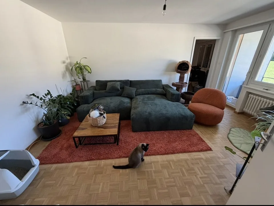 Günstige 3Zimmer Wohnung zu vermieten