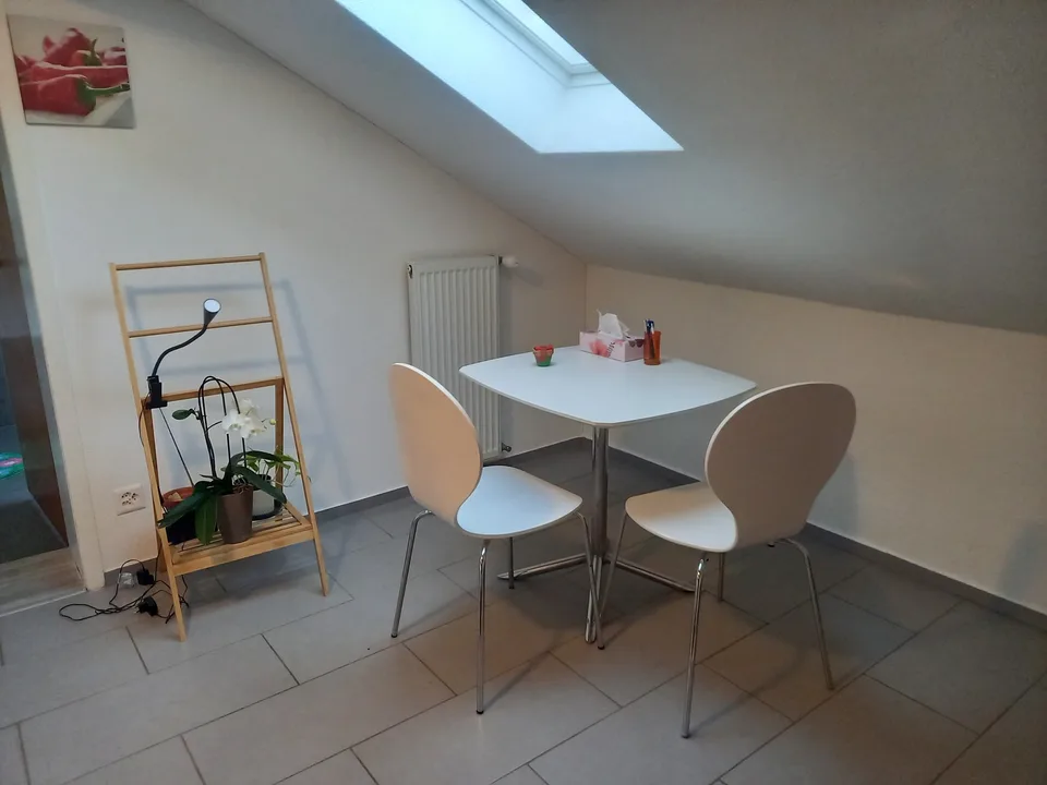 Großzügige 2,5 Zimmer Wohnung in schöner Umgebung zu vermieten