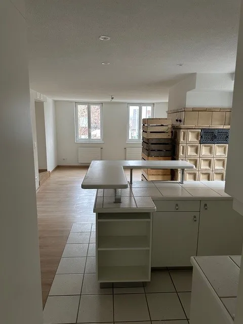 🏡 Charmante 4.5-Zimmer-Maisonette-Hausteil mit grosser Terrasse, Garten und Naturkellern – Wohnen mit Charakter in Rekingen AG