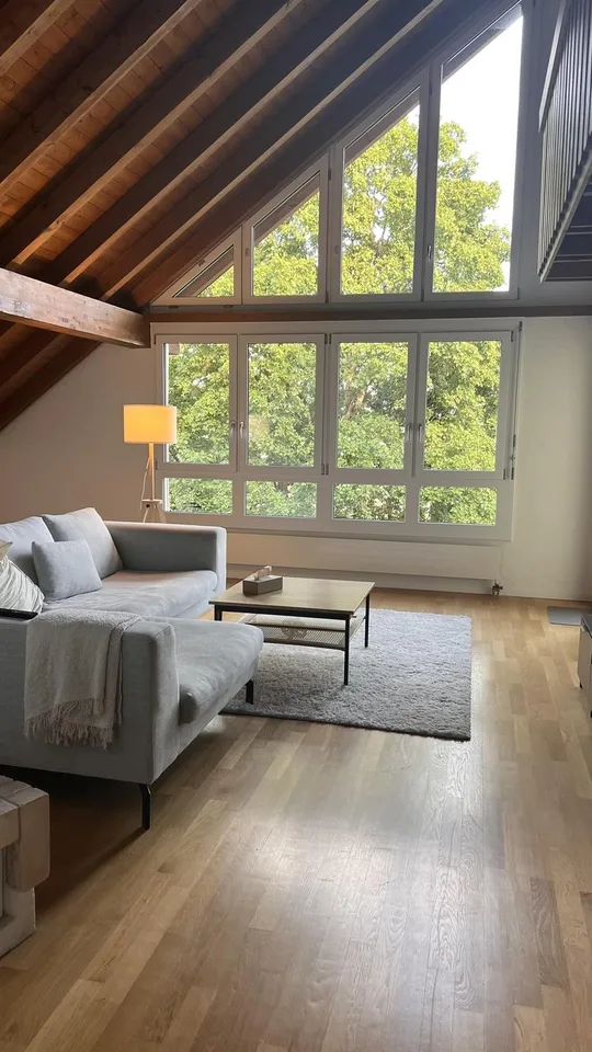 Bright 5.5-Room Apartment in Schaffhausen – Available September 1