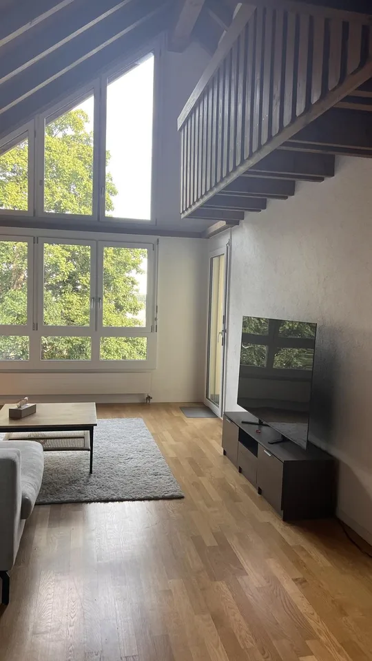 Bright 5.5-Room Apartment in Schaffhausen – Available September 1