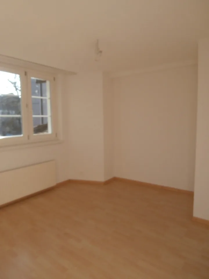 4,5 Zimmer Wohnung