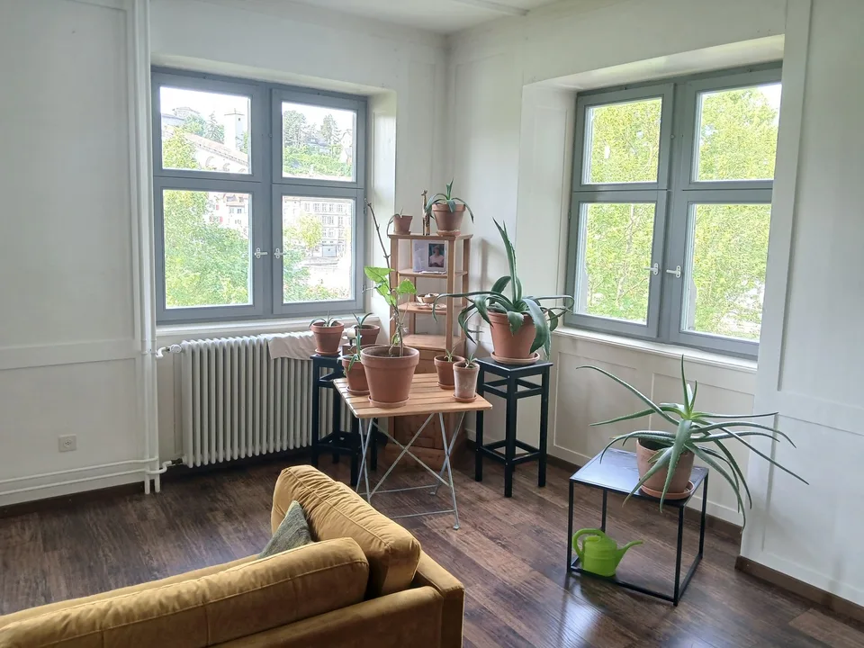 1-2-Personen-Wohnung direkt am Rhein in Altstadtnähe zur Untermiete für 6 bis 12 Monate ab September oder nach Absprache
