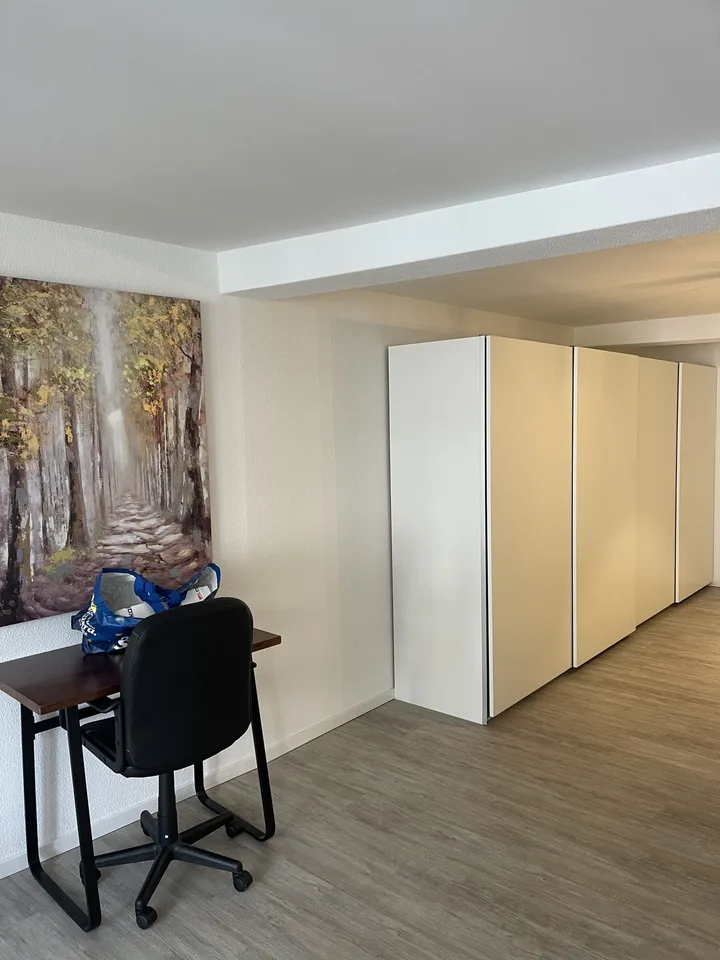 Unterstadt 41, 8200 Schaffhausen - CHF 1’800 inkl. NK pro Monat