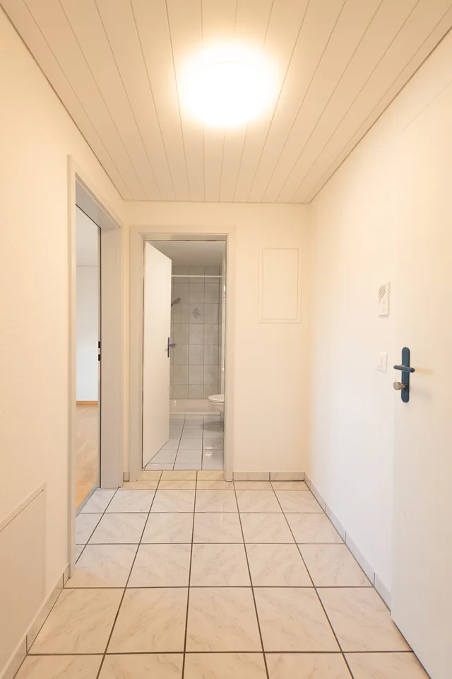 Gemütliche 2.5 Zimmer Dachwohnung in Sulgen