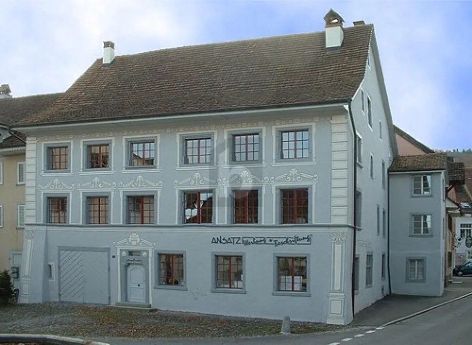 REPRÄSENTATIVE FLÄCHE - HISTORISCHER CHARME
