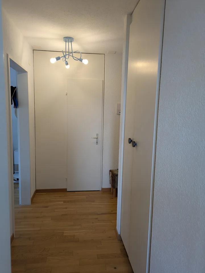 Helle und grosszügige 1.5-Zimmer-Wohnung in Robenhausen mit viel Stauraum