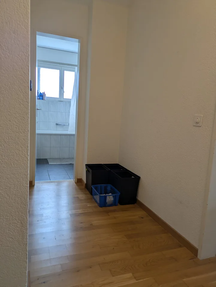 Helle und grosszügige 1.5-Zimmer-Wohnung in Robenhausen mit viel Stauraum