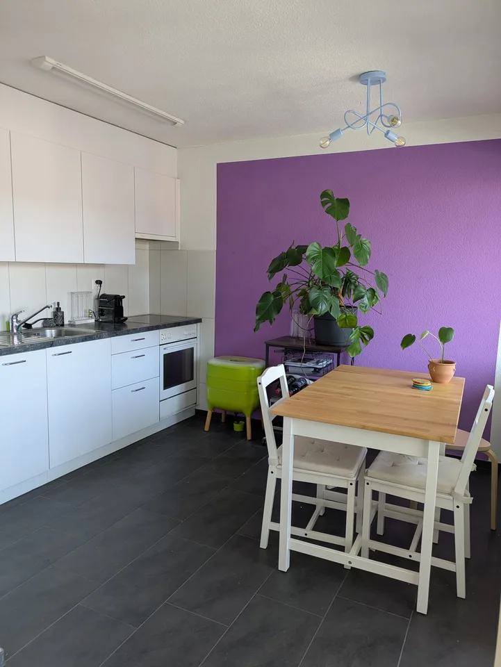 Helle und grosszügige 1.5-Zimmer-Wohnung in Robenhausen mit viel Stauraum