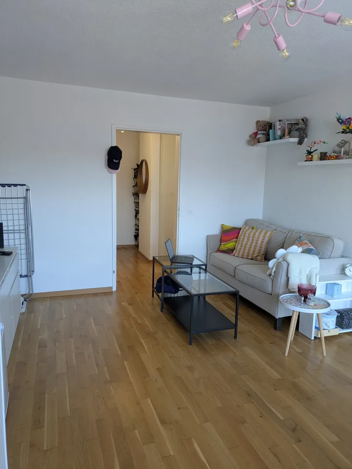 Helle und grosszügige 1.5-Zimmer-Wohnung in Robenhausen mit viel Stauraum