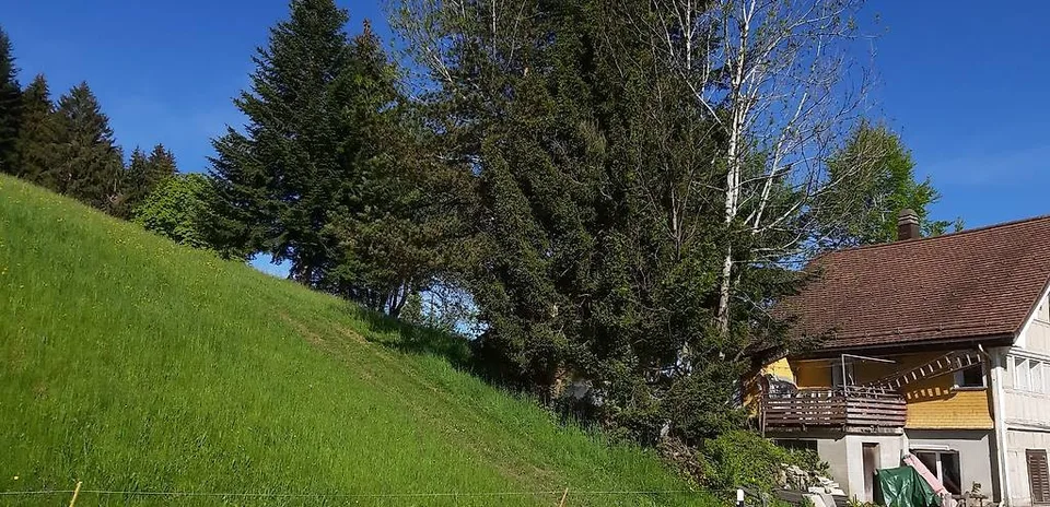 Haus mit Fernblick und Garten