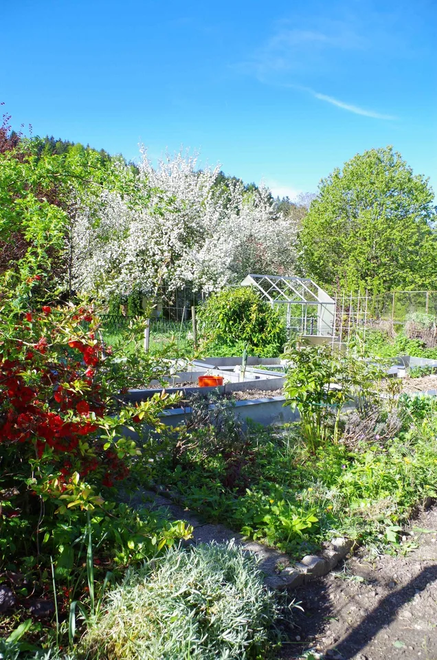 WG grosses Zimmer vollsonnig, ruhig