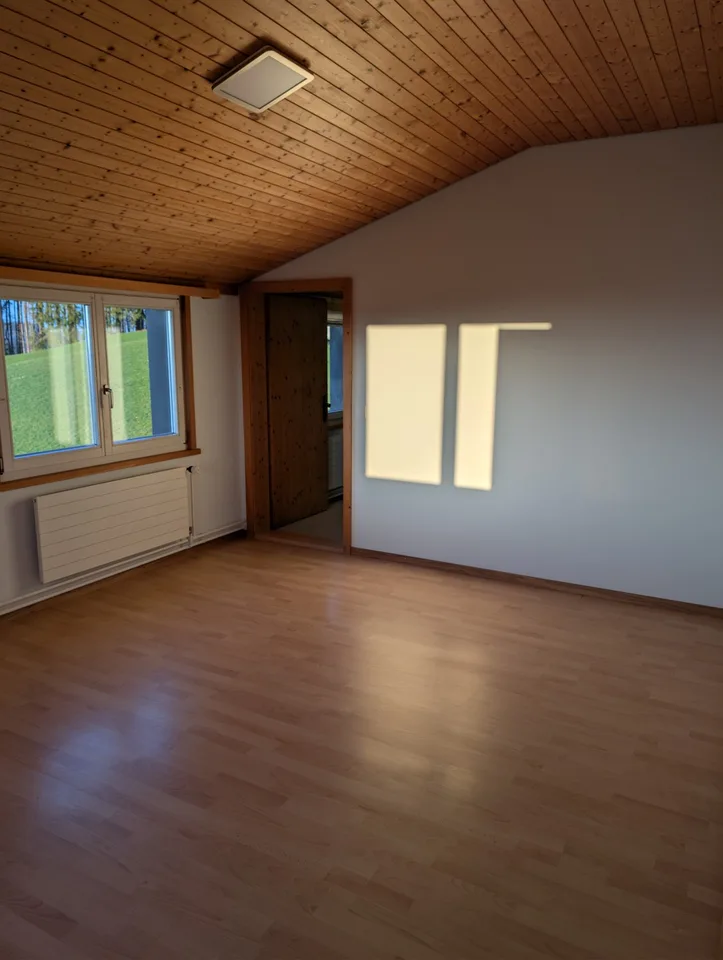 Grosszügige Wohnung mit Bergblick, Kamin, Steinofen, Sauna