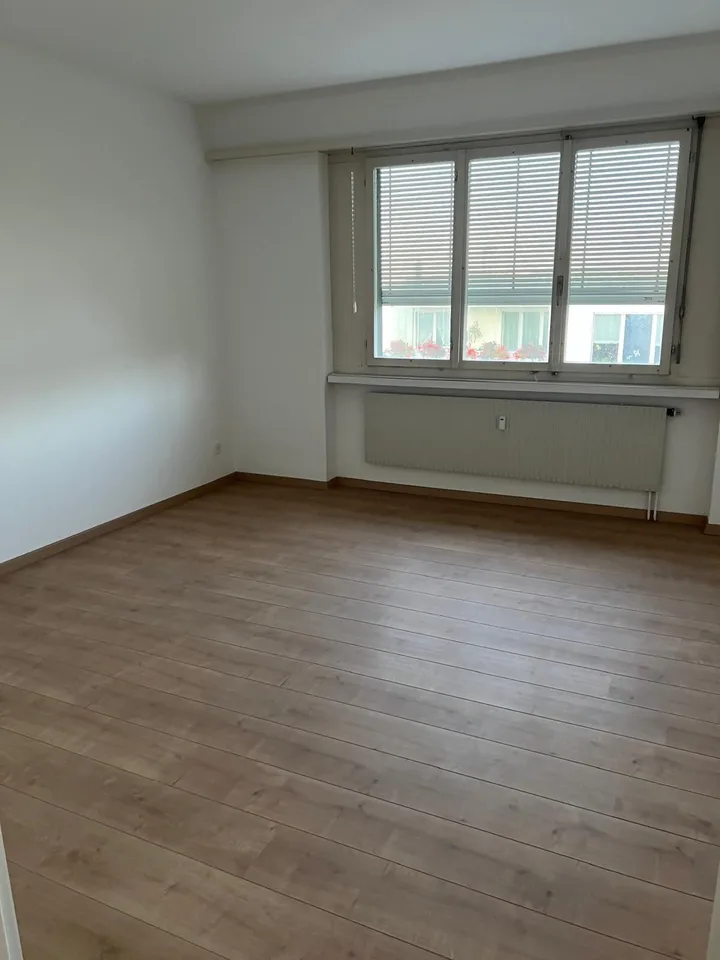 frisch renovierte 4.5-Zimmer-Wohnung mit grossem Balkon und schöner Aussicht in Uzwil