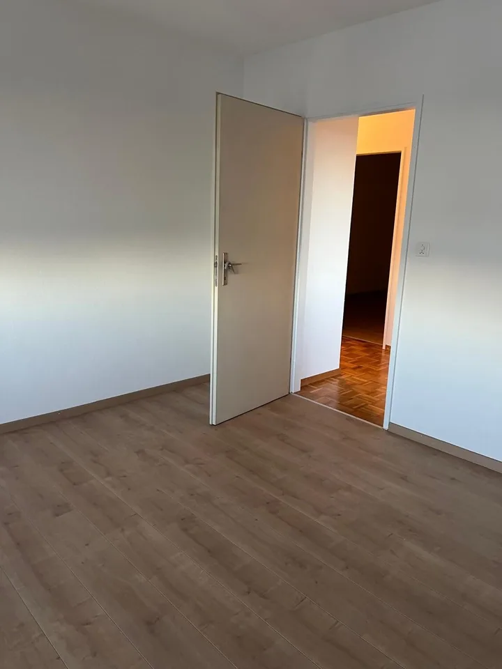 frisch renovierte 4.5-Zimmer-Wohnung mit grossem Balkon und schöner Aussicht in Uzwil