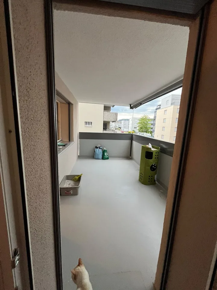 🏡 Nachmieter für eine 2.5-Zimmer-Wohnung in Bronschhofen (Wil) gesucht!