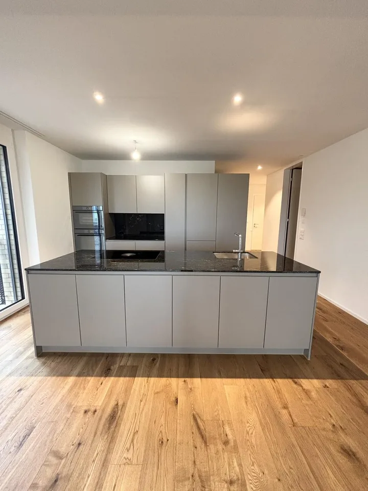 Moderne 4 ½ Zimmer-Wohnung im Ziegeleiquartier, Berg TG