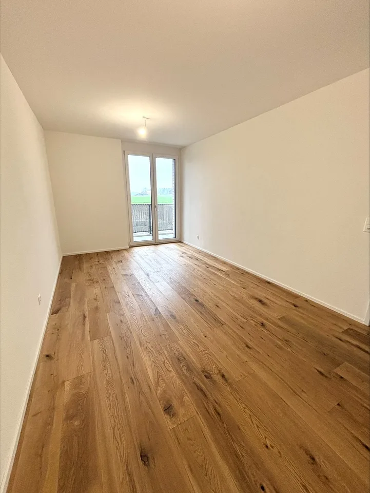 Moderne 4 ½ Zimmer-Wohnung im Ziegeleiquartier, Berg TG