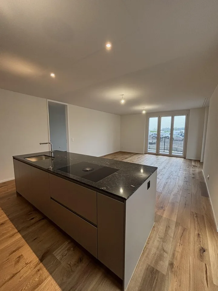 Moderne 4 ½ Zimmer-Wohnung im Ziegeleiquartier, Berg TG